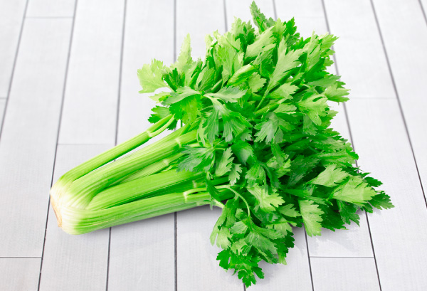 セロリの写真