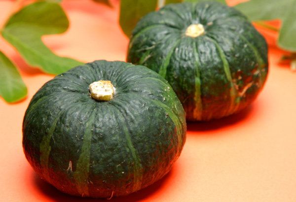 西洋カボチャの写真