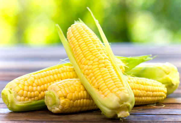 トウモロコシの写真