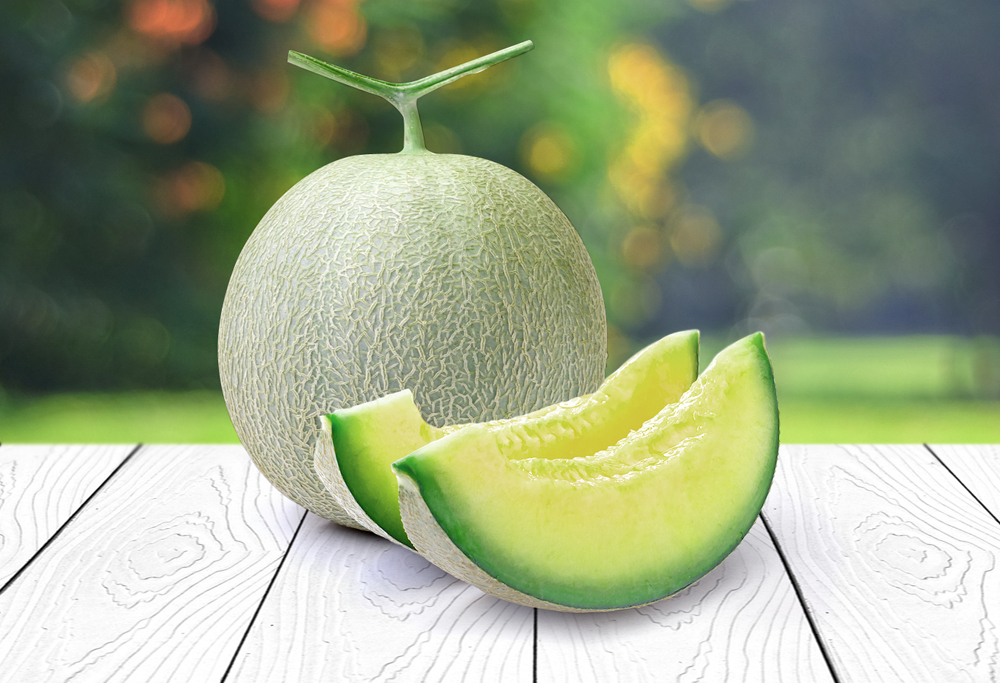 メロンの写真