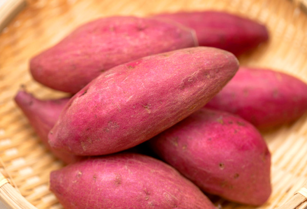 サツマイモ の写真