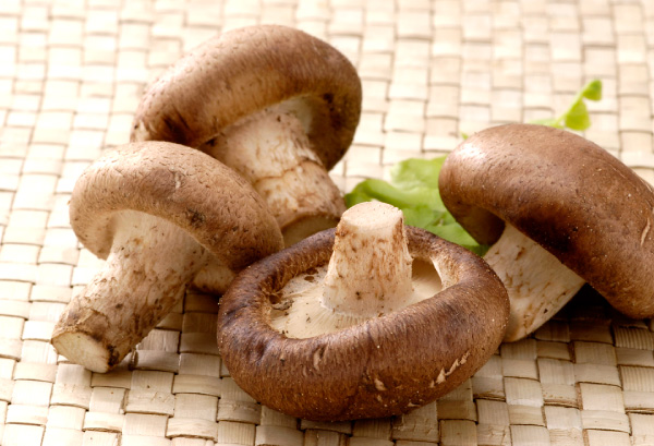 生シイタケの写真