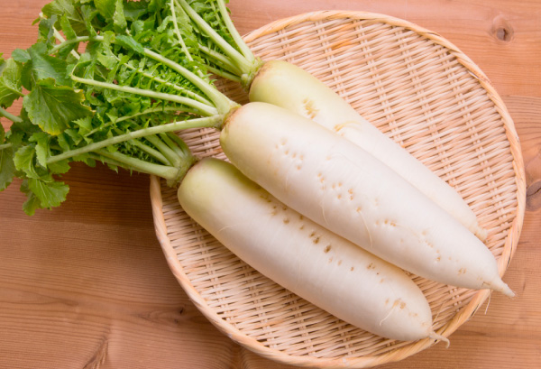 ダイコンの写真