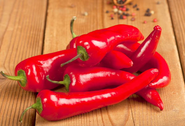 トウガラシ(唐辛子)の写真