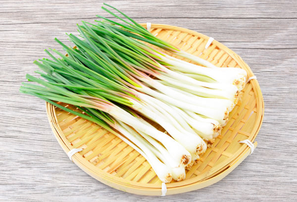 ラッキョウの写真