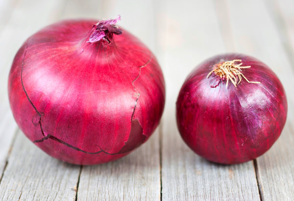 紫タマネギの写真