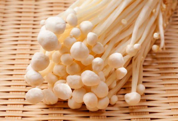 エノキタケ(榎茸)の写真