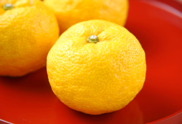 ユズ(柚子)の写真