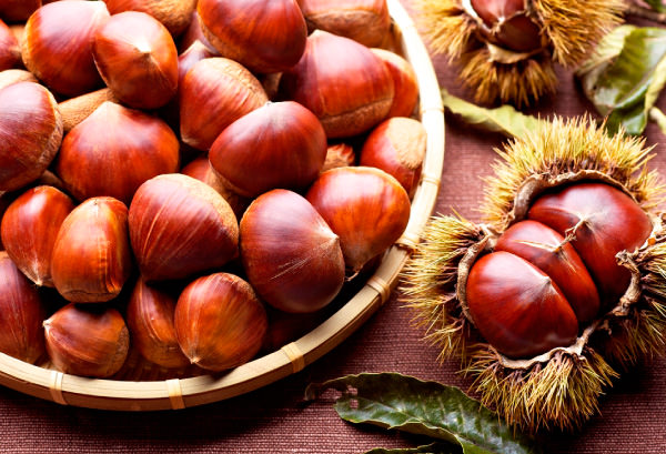 クリ(栗)の写真