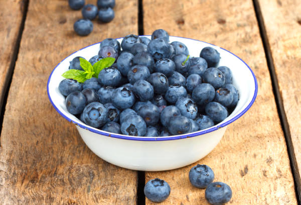 ブルーベリーの写真