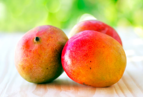 マンゴーの写真