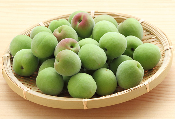 うめ(青梅)の写真