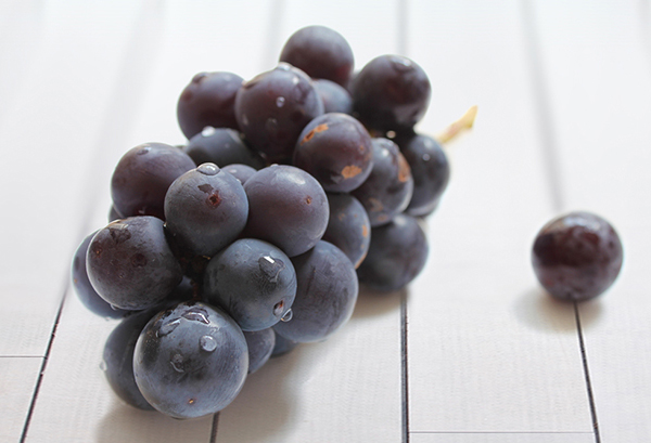 ブドウ(葡萄)の写真