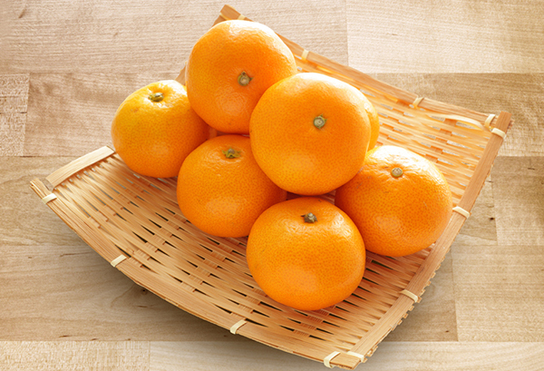 ミカン(温州ミカン)の写真