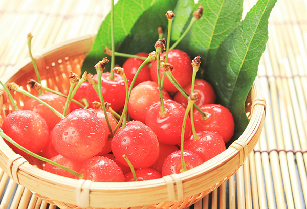 サクランボの写真