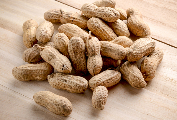 ラッカセイ(落花生)の写真