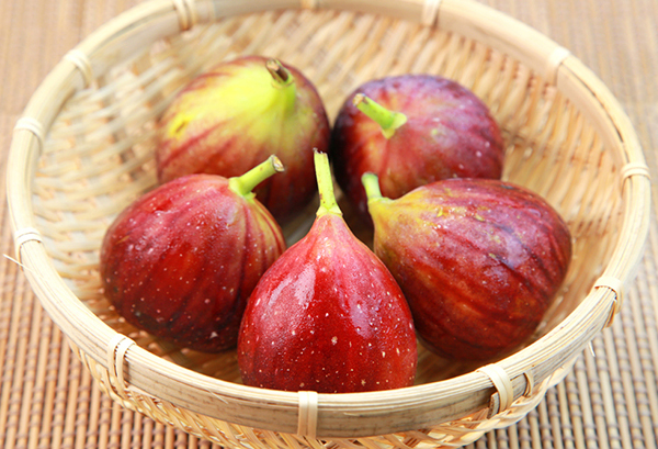 イチジク(無花果)の写真